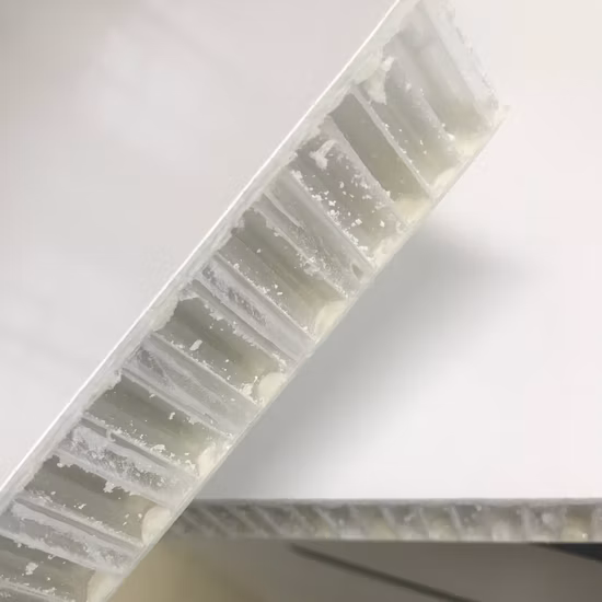 Il pannello in PP termoplastico a nido d'ape con rivestimento può essere realizzato per i pedali dei ponteggi